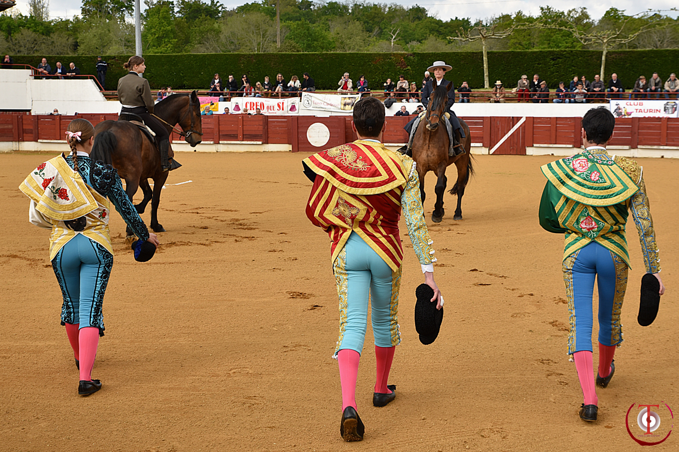 Bolsin de Bougue, 28 ans de promotion de la tauromachie