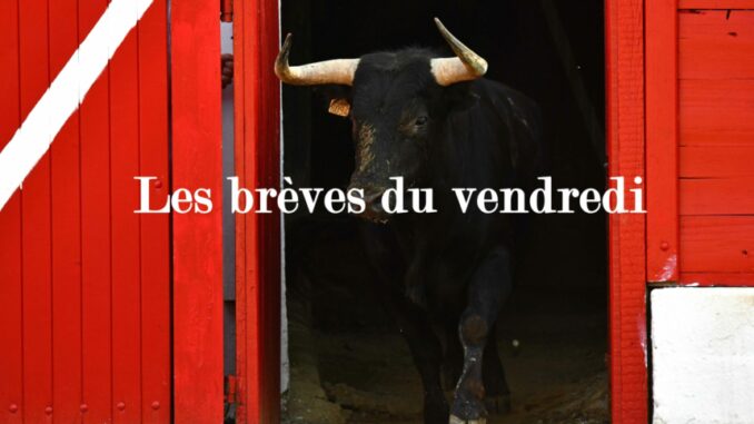 les brèves du vendredi
