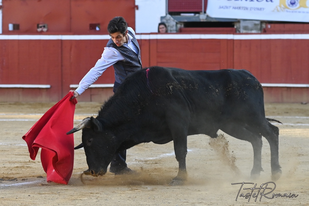 Second trophée de France des praticos dans les arènes du Plumaçon