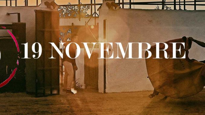 19-NOV