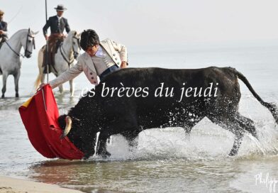 Les brèves du jeudi 24 juillet