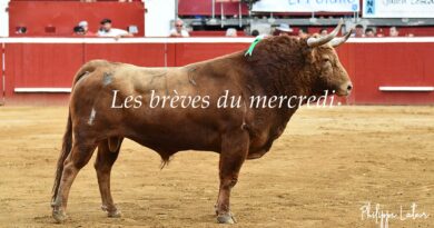 Les brèves du mercredi 8 mai