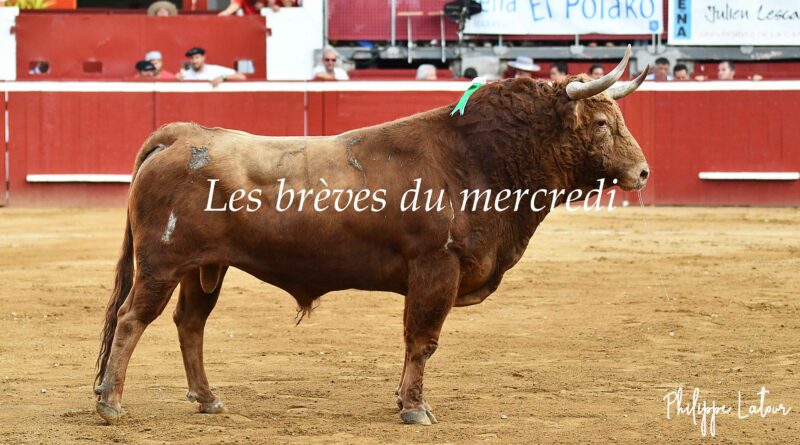 Les brèves du mercredi 8 mai