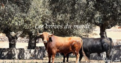 Les brèves du mardi 14 mai