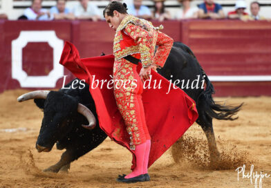 Les brèves du jeudi 17 avril