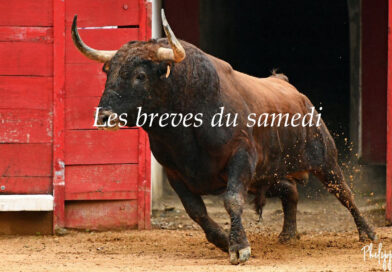 Les brèves du samedi 30 août