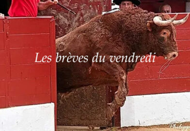 Les brèves du vendredi 18 avril