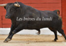 Les brèves du lundi 19 mai