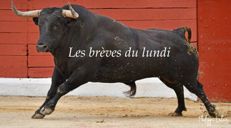 Les brèves du lundi 29 avril