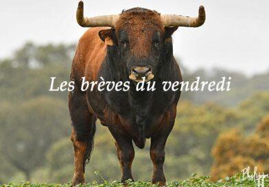 Les brèves du vendredi 20 février