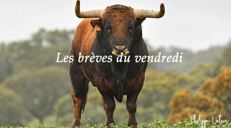 Les brèves de vendredi 19 avril