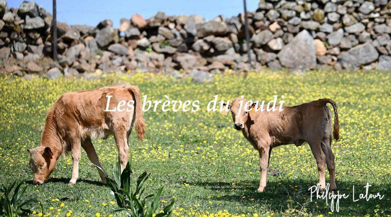 Les brèves du jeudi 18 avril