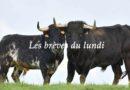Les brèves du lundi 12 mai