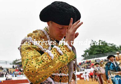 Les brèves du vendredi 17 mai