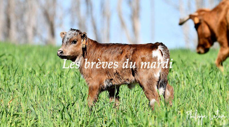 Les brèves du mardi 23 avril