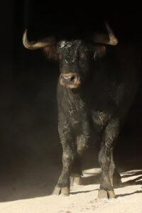 23 09 14 NIMES CHICOT (127)