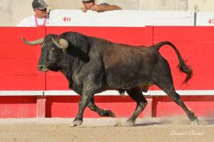 23 09 14 NIMES CHICOT (130)