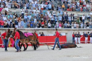 23 09 14 NIMES CHICOT (248)