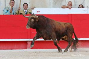 23 09 14 NIMES CHICOT (274)
