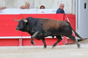 23 09 14 NIMES CHICOT (364)