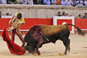 23 09 14 NIMES CHICOT (527)