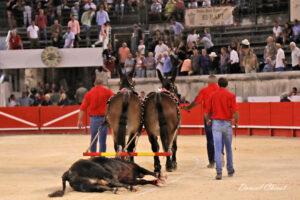 23 09 14 NIMES CHICOT (535)