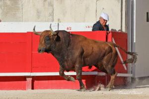 23 09 14 NIMES CHICOT (64)