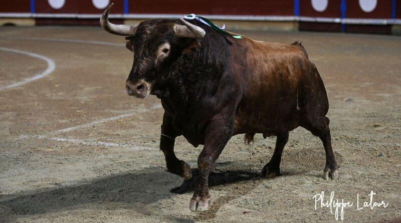 Bayonne, la corrida des six toreros, en galerie photos