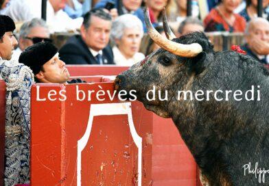 Les brèves du mercredi 29 novembre