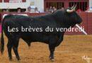 Les brèves du vendredi 6 juin