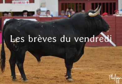 Les brèves du vendredi 6 juin
