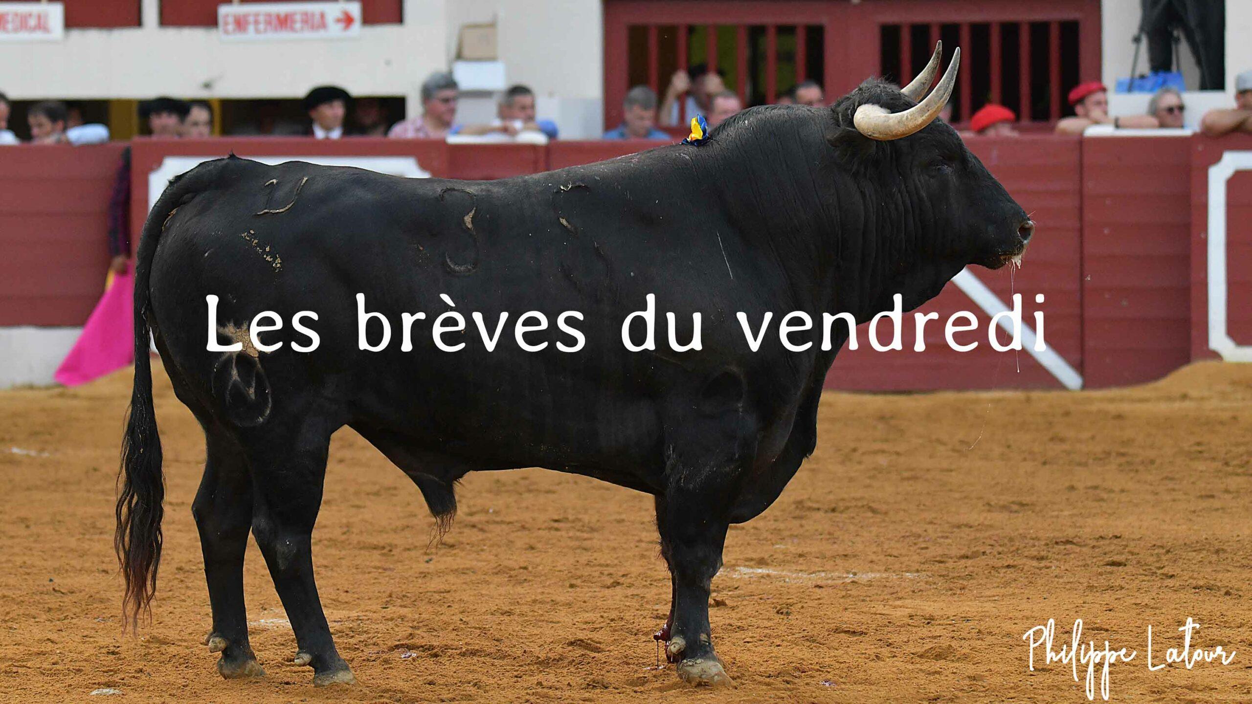 Les brèves du vendredi 12 décembre