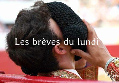 Les brèves du lundi 27 novembre