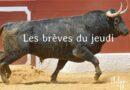 Les brèves du jeudi 3 juillet