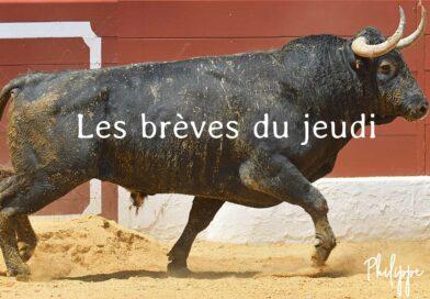Les brèves du jeudi 3 juillet