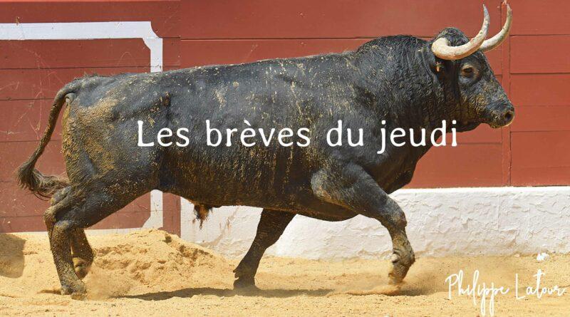 Les brèves du jeudi 28 mars