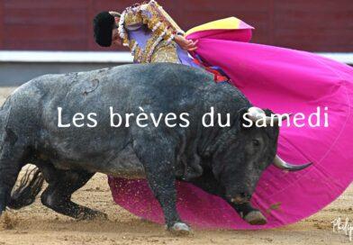 Les brèves du samedi 22 mars