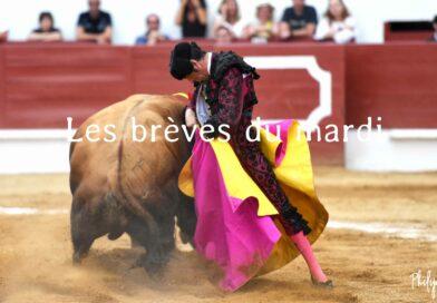 Les brèves du mardi 28 novembre