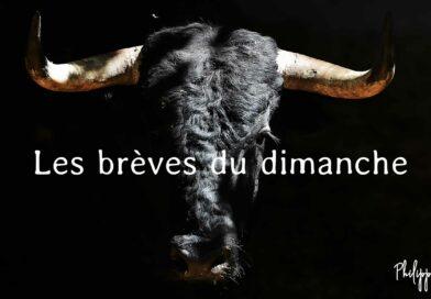 Les brèves du dimanche 26 novembre