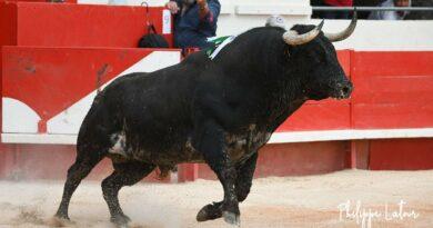 Alès, la corrida de Yonnet en photos