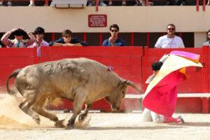 24 06 01 MAUGUIO CHICOT (148)