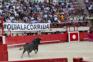 24 06 01 MAUGUIO CHICOT (247)