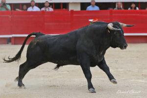 24 06 01 MAUGUIO CHICOT (393)