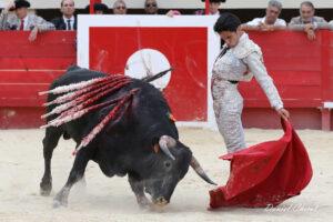 24 06 01 MAUGUIO CHICOT (473)