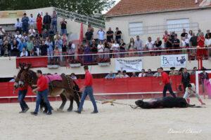 24 06 01 MAUGUIO CHICOT (497)