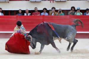 24 06 01 MAUGUIO CHICOT (556)