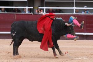 24 06 14 ISTRES CHICOT (200)