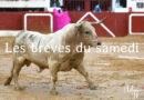 Les brèves du samedi 31 mai