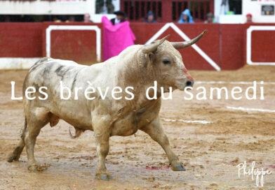 Les brèves du samedi 31 mai