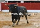 Les brèves du mercredi 30 avril